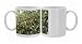Photo Mugs of WAT-14485 Strawberry Tree - in park from Ardea Wildlife Pets