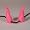 Pink horns