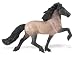 Icelandic Stallion (Winner's Circle)_s-1