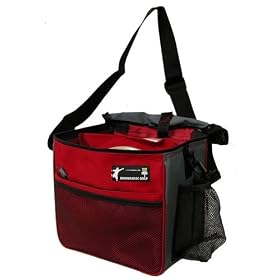 Click here to buy Innova Starter Disc Golf Bag.