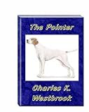 The Pointer