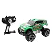 TMNT Cowabunga Rally Car