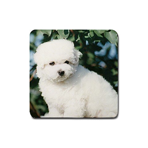 Bichon Frise Puppy Rubber Square Coaster (4 pack)