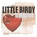 Bigbiglove