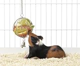 Eigenschaften Karlie  / KARLIE RODY Futterball aus Metall für Nager Ø 9cm #88690