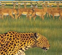 Zoo [CCCD]