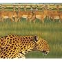 Zoo [CCCD]