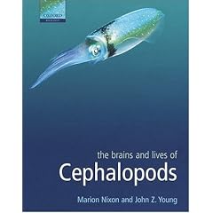 The Brains and Lives of Cephalopods