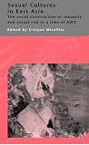The Social Construction of Sexuality and Sexual Risk in a Time of AIDS (RoutledgeCurzon IIAS Asian Studies)