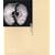 Wynn Bullock (Phaidon 55's)