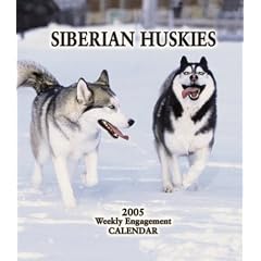 Siberian Huskies 2005 Weekly Engagement Calendar