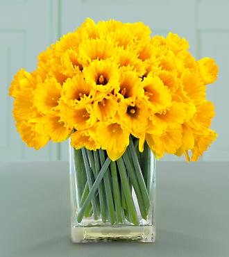 Birthmonth flower