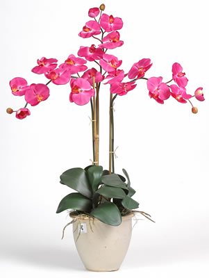 Triple Stem Phalaenopsis Silk Orchid Flower Plant in Beauty