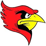Cardinal Head Temporary Tattoos