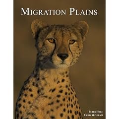 Migration Plains