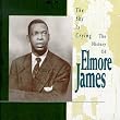 The Sky Is Crying: The History of Elmore James