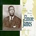The Sky Is Crying: The History of Elmore James
