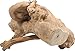 A&E CAGE COMPANY 001371 Java Wood Reptile Branch Natural, Small