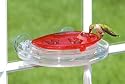 Aspects 407 Jewel Box Window Hummingbird Feeder