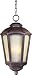 Maxim Lighting 85497TLML 1 Light Outdoor Hanging Mottled Leather