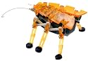 HEX BUG ORANGE