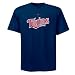 Minnesota Twins Official Wordmark T-shirt (Large)