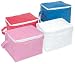 Wholesale Lot Lunchpack 6 Pack Cooler Bag (Case Pack 50)