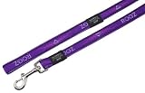 418Fxmt3hTL. SL160  Rogz Large 3/4 Fancy Dress Beach Bum 6 Fixed Dog Lead Purple Chrome Design