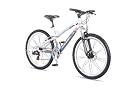 Raleigh Toronto 26" Bike
