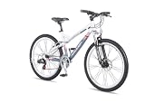 Raleigh Toronto 26 Bike