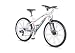 Raleigh Toronto 26 Bike