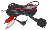 Direct Audio Input From iPod Dock Connector to RCA & 3.5mm Jack
