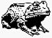 Tools & Hardware : Beckett #TF203 PolyresinTradition Frog