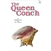 Queen Conch