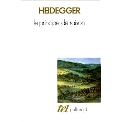 Le principe de raison