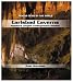 Carlsbad Caverns: America's Largest Underground Chamber (Famous Caves of the World)