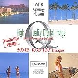 High Quality Digital Image for Professional Vol.16 Aggressive Hawaii