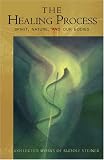 The Healing Process : Spirit, Nature & Our Bodies (Foundations of Anthroposophical Medicine, V. 2)