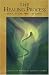 The Healing Process : Spirit, Nature & Our Bodies (Foundations of Anthroposophical Medicine, V. 2)