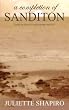 A Completion of Sanditon, Jane Austen's Unfinished Novel