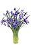 25 Blue Iris Flower Bouquet Image