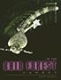 In the Rain Forest Canopy (Science Adventures)