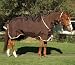 Horseware