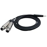 Pyle-Pro PCBL38FT6 6 Ft 12 Gauge 3.5mm Male To Dual XLR Female Cable