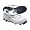 White/Silver