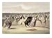 The Bull Leaping the Barriers, 1865 Art Giclee Poster Print by William Henry Lake Price, 24x18