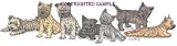 Cairn Terrier - Puppies in a Row by Cindy Farmer