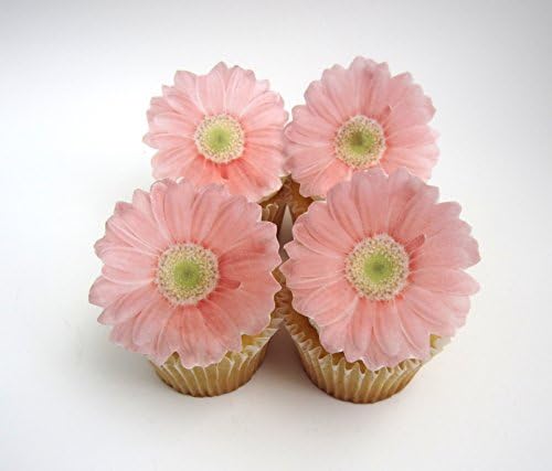 Edible Pink Daisy Flowers - Set of 12 Flowers - Cake and Cupcake Toppers - Weddings, Bridal Showers, Baby Shower Decorations - 77168