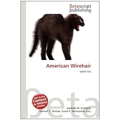 American Wirehair