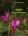 Digital Nature Photography